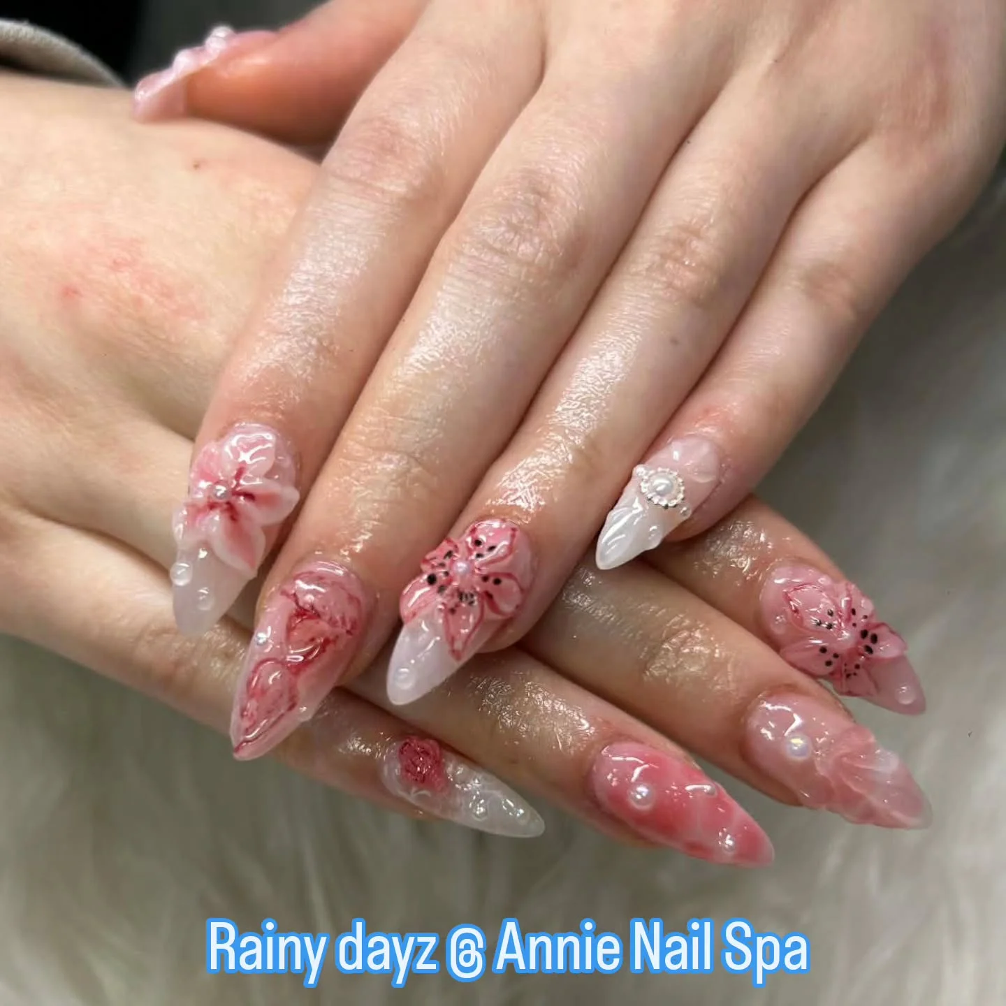 Photo 11 from Annie Nail Spa